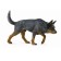 Figure "Australian shepherd dog", l