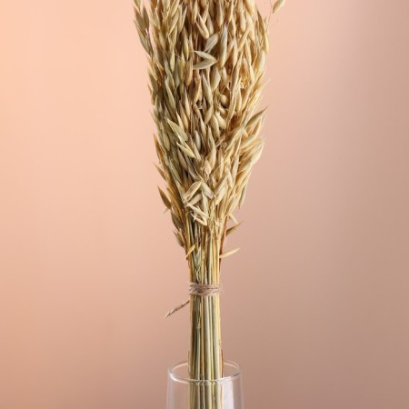 Set of dried flowers "oats", banch length 60-65 (+/- 6 cm), natural-1