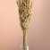 Set of dried flowers "oats", banch length 60-65 (+/- 6 cm), natural