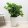 Kashpo for flowers with an insert "Dune", 19.5 l, white color