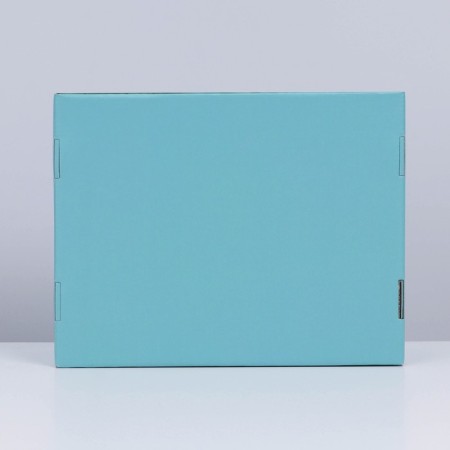 Gift folding box, packaging, Tiffany, 27 x 21 x 9 cm-6