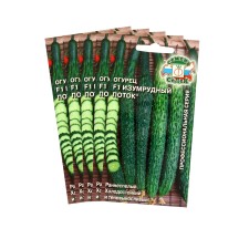Cucumber seeds 