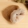 Bilateral "Mittle", nettle, 22x13cm washcloth