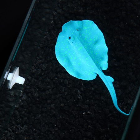 Decor for the Aquarium "Skat", silicone, with a neon effect, 18 x 8 cm-4