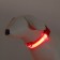 Collar with backlight size S, Osh 35-43 x 2.5 cm, 3 glow modes red