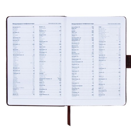 The diary is low, PVC cover, A5 format, 140 sheets in a cage, button, reptile, mix-7