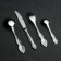 Set of cutlery "Slavyanka", 24 items, decorative box, silver color