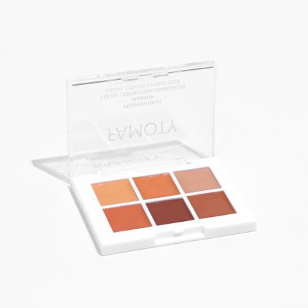 Sensation conciliates palette, 6 shades-2