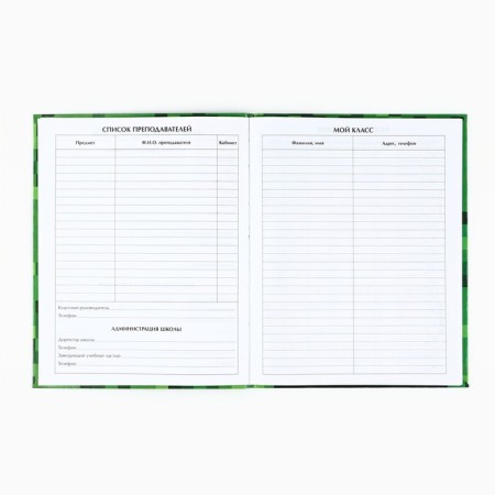 School diary for grade 1-11, in an integrated cover, 40 liters. "Minecraft"-1