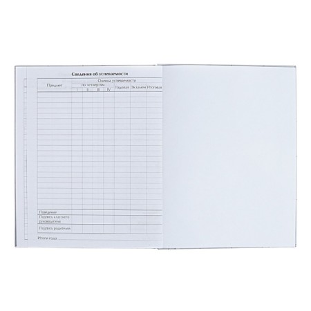 Diary for grades 5-11 "Modern Web. Anonymity", solid cover, matte lamination, selective varnish, 48 sheets-8