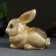 Piggy bank "Bunny" Golden, 19x11x16cm