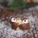Christmas tree decoration "Love owls" 5x3.5 cm, mix