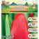 Tulip Triumph Delta RED, rr 11/12, 5 pcs, autumn 2024