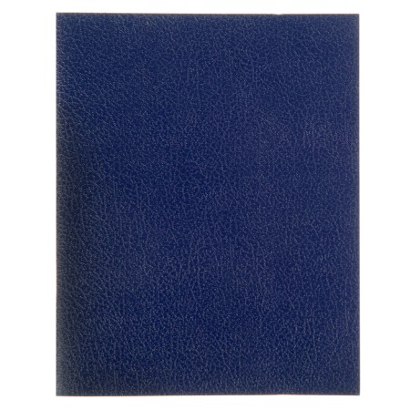 Notebook 96 sheets of the Blue Cage, the cover of the boumvinyl