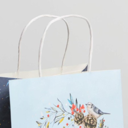Package Gift Crafts "Frosty Morning", 22 x 25 x 12 cm, New Year-3