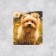 Stickers Set "Best Friends", 6 x 7 cm, 10 pcs