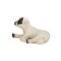 Figure Konik "Scottish black -headed lamb (lying)"