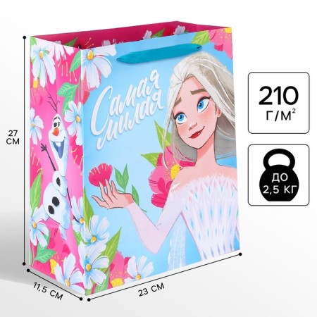 Gift package "The Young" 23x27x11.5 cm, packaging, cold heart