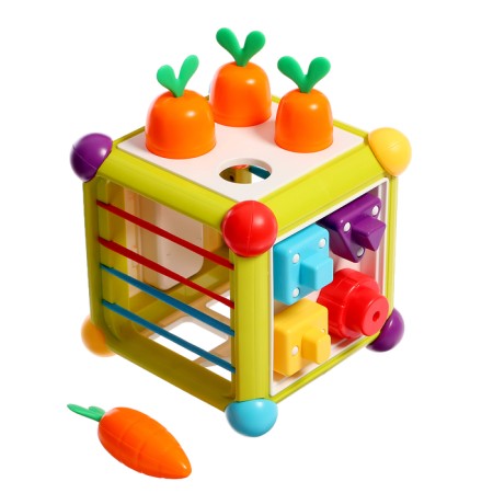 Developing Sorter "Miracle Cube"-7