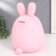 Pigpine Plastic "Bunny - Pukhlyash with heart/flower" MIX 16x15.5x23 cm
