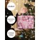Pink Balls Package, 23 x 18 x 11 cm, New Year