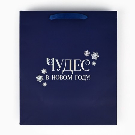 Package Gift New Year's "Miracles in the New Year", holography, ML 23 x 11.5 x 27 cm, New Year-3