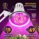 Phytolamp for plants LED era Fito-18W-Rb-E27 red-blue spectrum 18 W E27