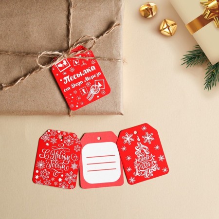 Schildik for a gift "Parcel from Santa Claus", set 6 pieces, 16 x 24 cm, new year-2