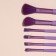 A set of makeup brushes, 6 items, PVC package, purple color