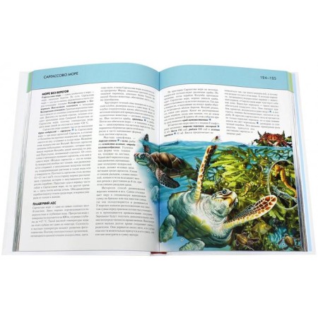Undersea world. Complete encyclopedia. Schoolboy Yu.K.-10