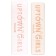 Focallure Staymax Focallure Staymax Palette, 10 colors, tone 2, 10 g