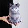 Antistress toy "Cat Russian Blue"