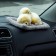 Toy on a car panel, dogs on a pillow, beige color