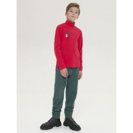 Turtleneck for the boy Pelican, height 140 cm, red color-3