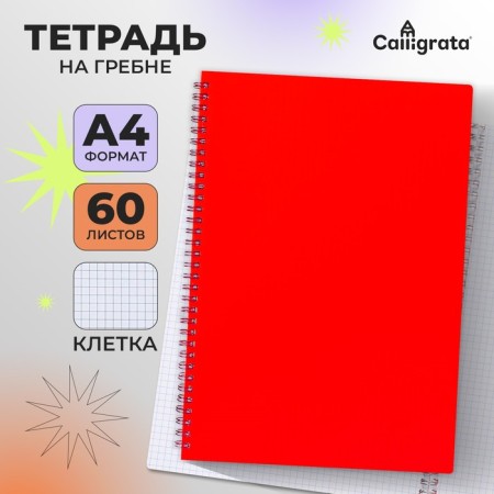 Notebook on the crest A4 60 sheets in the Calligrata cage red, plastic cover, OFSET block