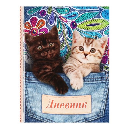 Universal diary for grades 1-11, "kittens in pockets", solid cover 7BC, glossy lamination, 40 sheets-1