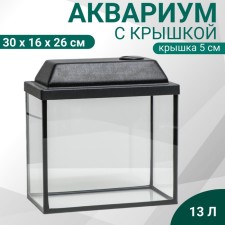 Aquarium rectangular 