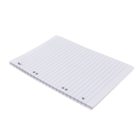 Smooth block for notebooks on rings A5, 80 sheets in a ruler, in individual packaging, block 60 g/m2-3