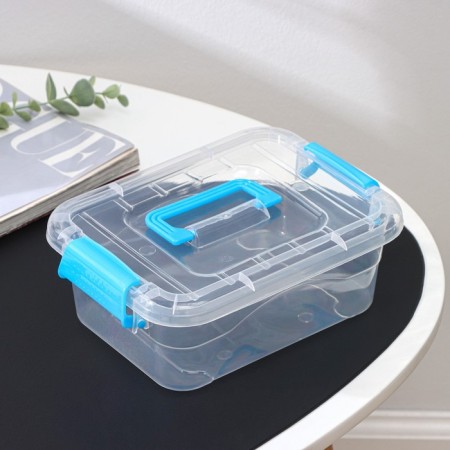 The storage container is plastic, a cover with a handle on a latch 19 × 15 × 6.8 cm, color mix-3