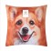 Decorative pillow "Corgi"