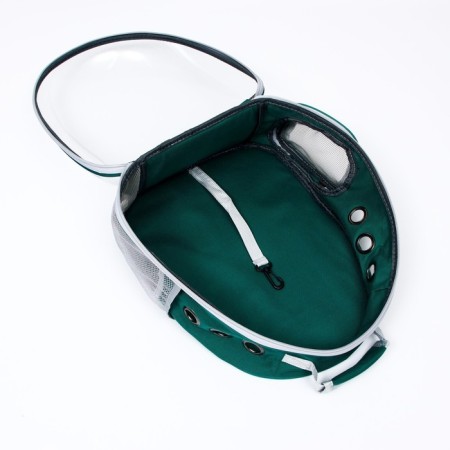 Backpack for carrying animals, transparent, 31 x 28 x 42 cm, green-5