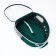 Backpack for carrying animals, transparent, 31 x 28 x 42 cm, green