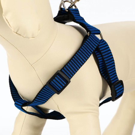 Acunition set is embossed, leash 120 x 2 cm, og 44-50 cm, blue-black-2