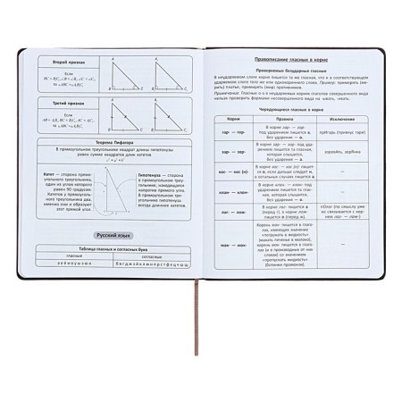 Universal diary for grades 1-11 "strip", solid cover of artificial leather, silkography, lies, 48 ​​sheets, chocolate+turquoise-9