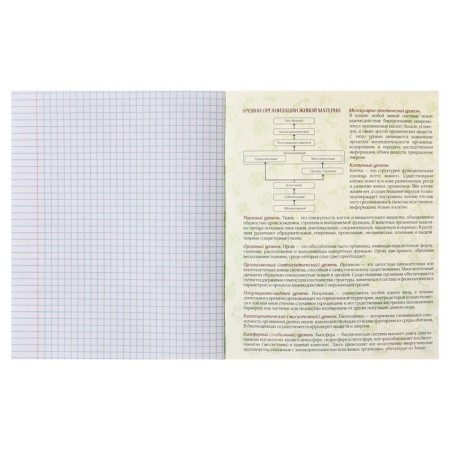 Substantial note Calligrata Top "strip", 48 sheets in a cell biology, with reference material, cover coated cardboard, twin + selective UV-lak, block offset-3
