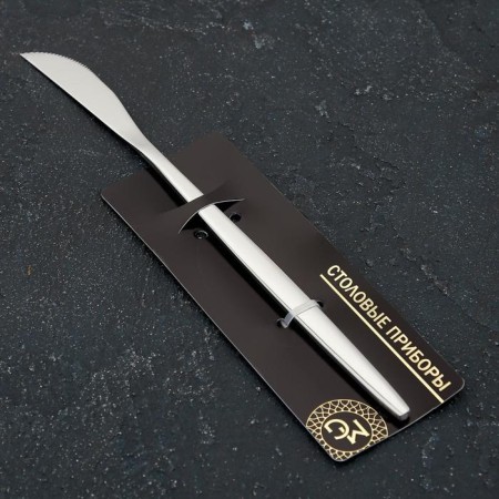 Knife magistro "blink", length 22 cm, on suspension, silver color-2