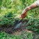 Supply planting, length 30 cm, width 8.5 cm, carved pen, Greengo