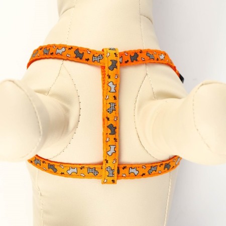 Set "Dogs", leash 120 x 1 cm, og 23-35 cm, orange-4