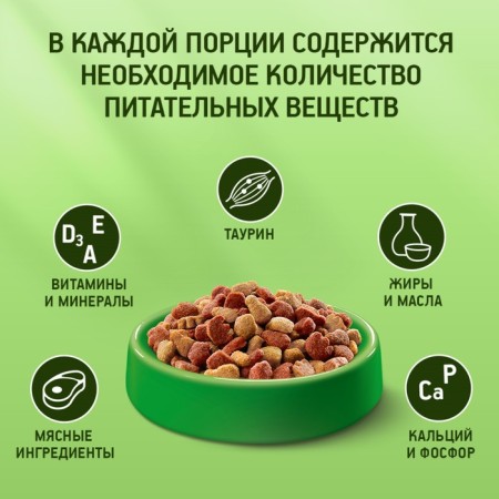 Dry food Kitekat "Meat Feast" for cats, 350g-3