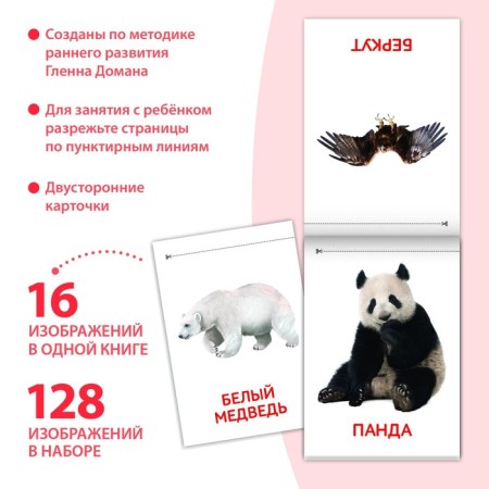 Books "Cards of Doman. We recognize the world ”, set, 8 pcs. 20 p.-1